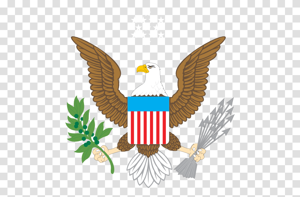 American Eagle Clip Art, Bird, Animal, Bald Eagle Transparent Png