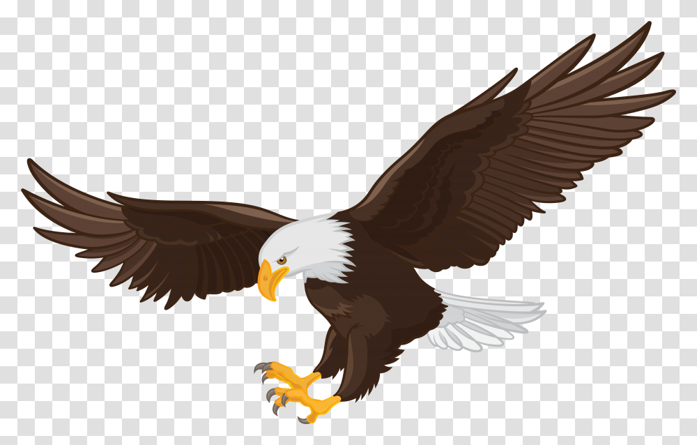 American Eagle Eagle Clipart, Bird, Animal, Bald Eagle, Flying Transparent Png