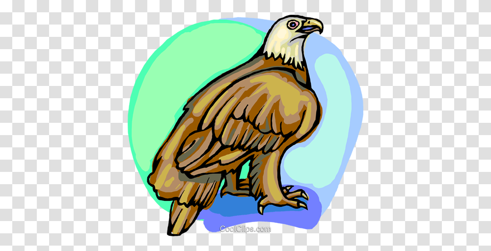 American Eagle Royalty Free Vector Clip Art Illustration, Bird, Animal, Vulture, Kite Bird Transparent Png