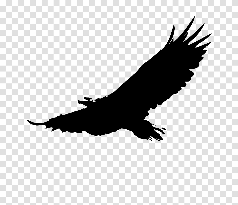 American Eagle Vector Silhouette Graphic Art Free Vector, Gray, World Of Warcraft Transparent Png