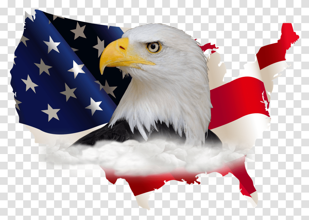 American Flag And Eagle High Resolution American Flag, Bird, Animal, Bald Eagle Transparent Png