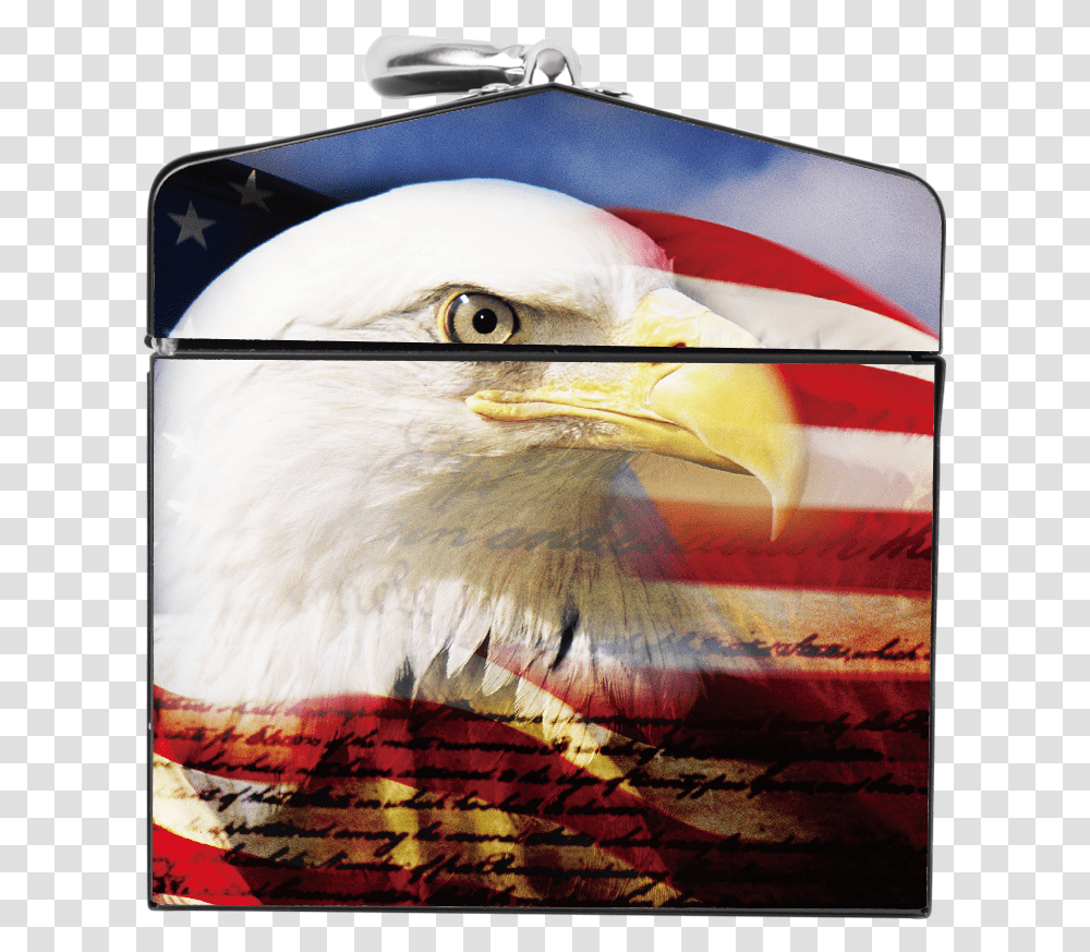 American Flag Eagle Portrat Steel Box - Charlotte Tools American Eagle Image For Facebook, Bird, Animal, Beak, Bald Eagle Transparent Png