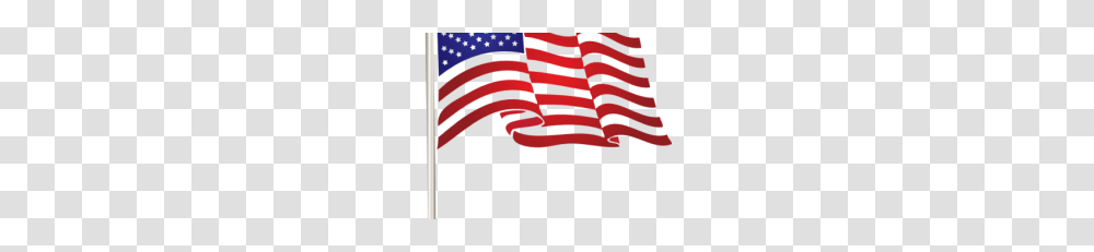 American Flag Images Vector Free, Plant, Tree, Flower, Blossom Transparent Png