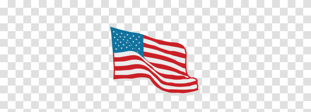 American Flag My Miss Kate Designs Flags Transparent Png