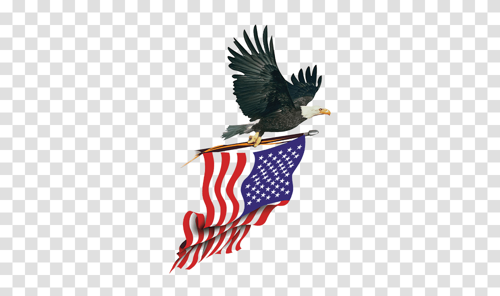 American Flag With Eagle Eagle Carrying American Flag T Shirts, Bird, Animal Transparent Png