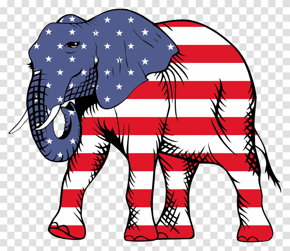 American Flag With Elephant, Mammal, Animal, Person, Human Transparent Png