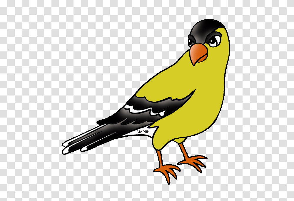 American Goldfinch Cliparts, Bird, Animal, Beak, Blow Dryer Transparent Png