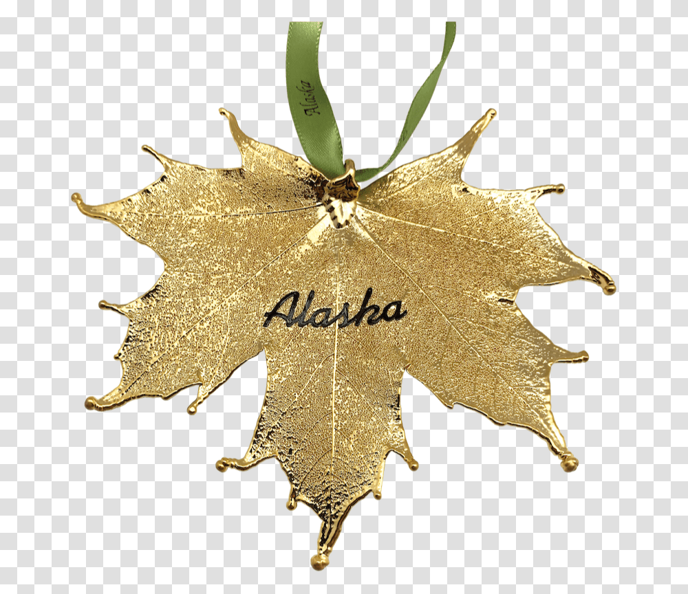 American Holly, Leaf, Plant, Maple Leaf, Gold Transparent Png