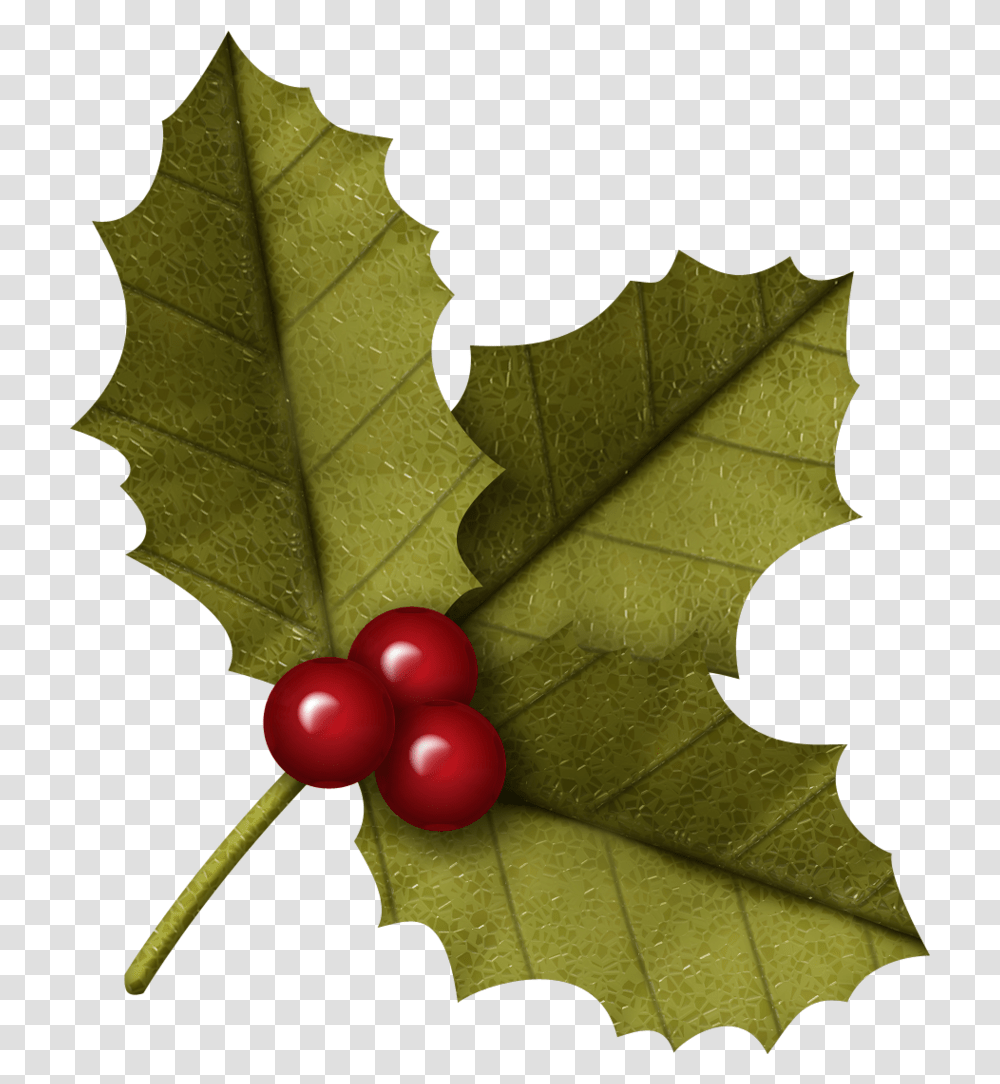 American Holly, Plant, Fruit, Food, Person Transparent Png