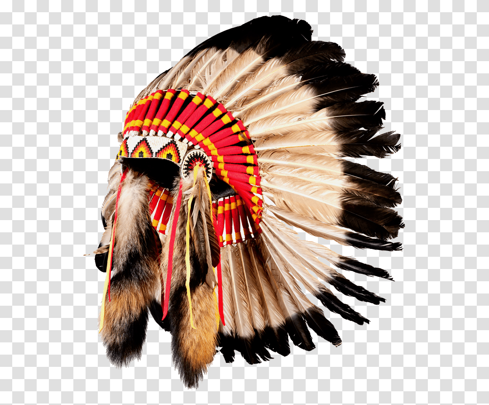 American Indian, Person, Bird, Animal, Costume Transparent Png
