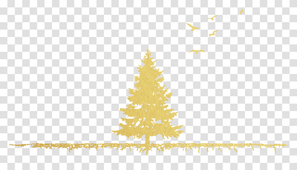 American Larch, Tree, Plant, Ornament, Christmas Tree Transparent Png