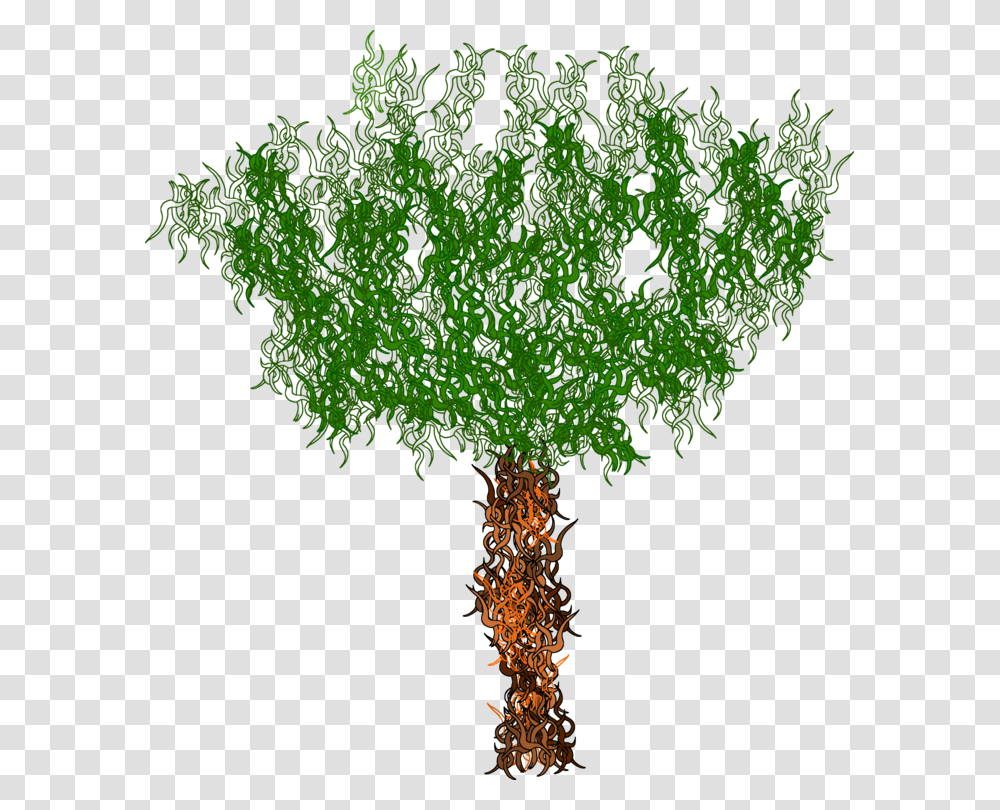 American Larchplantflower Grass, Tree, Leaf, Vegetation, Ornament Transparent Png