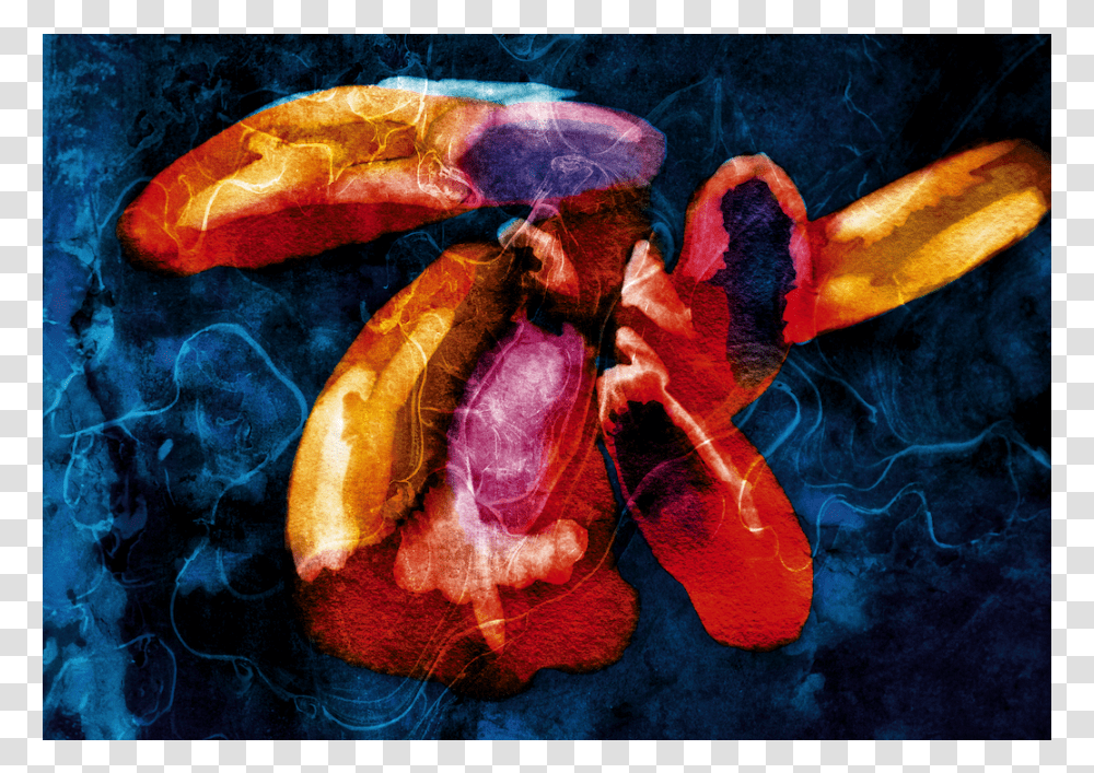 American Lobster, Food, Animal, Modern Art Transparent Png