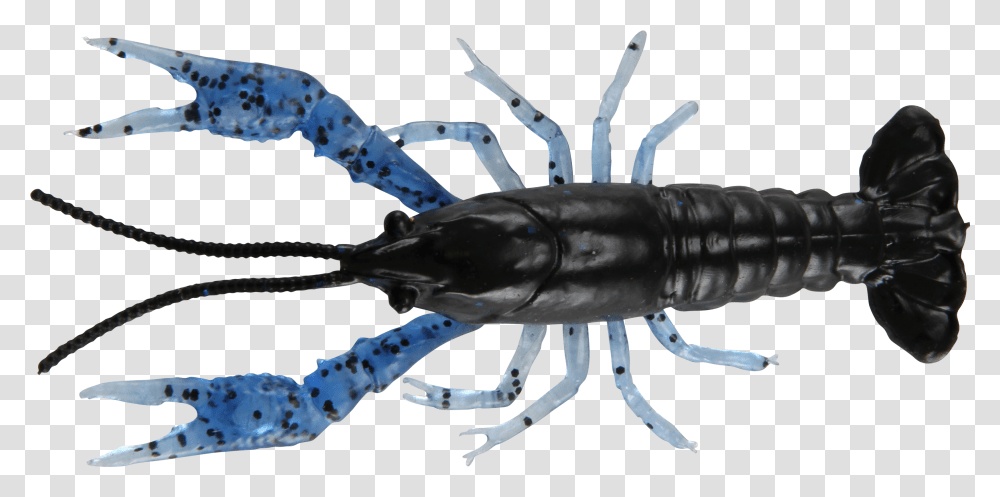 American Lobster, Seafood, Sea Life, Animal, Crawdad Transparent Png