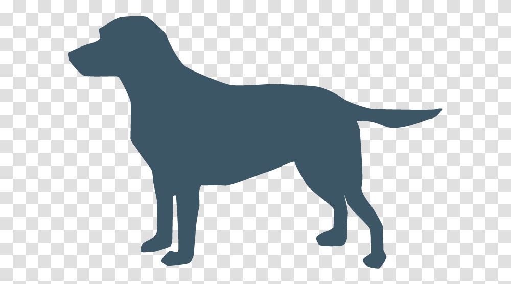 American Pit Bull Terrier Chow Chow Dog Collar Computer Dog Icon Blue, Mammal, Animal, Wildlife, Silhouette Transparent Png