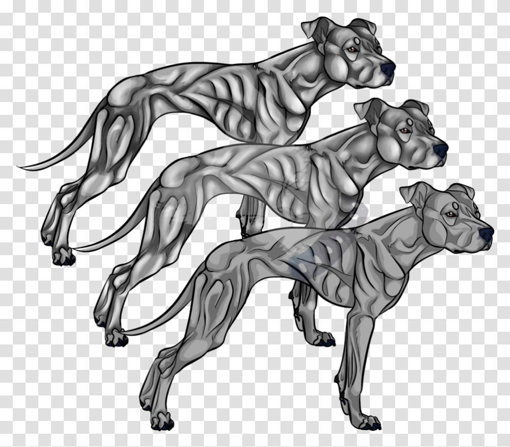 American Pit Bull Terrier Line Art Drawing Pitbull Lineart, Statue, Sculpture, Dinosaur, Reptile Transparent Png