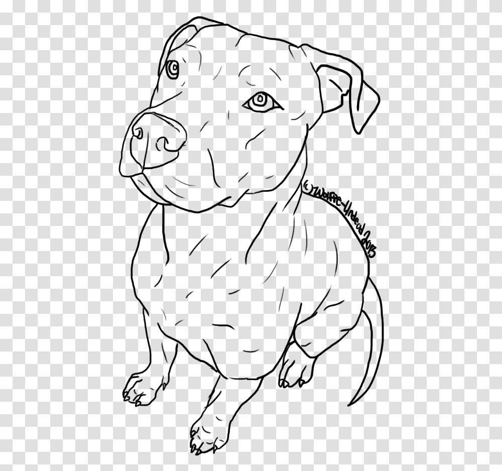 American Pit Bull Terrier Puppy Drawing Line Art Cute Drawings Of Pit Bulls, Gray Transparent Png