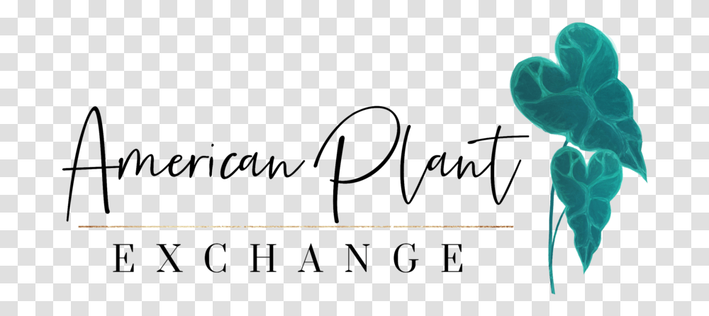 American Plant Exchange, Text, Handwriting, Signature, Autograph Transparent Png