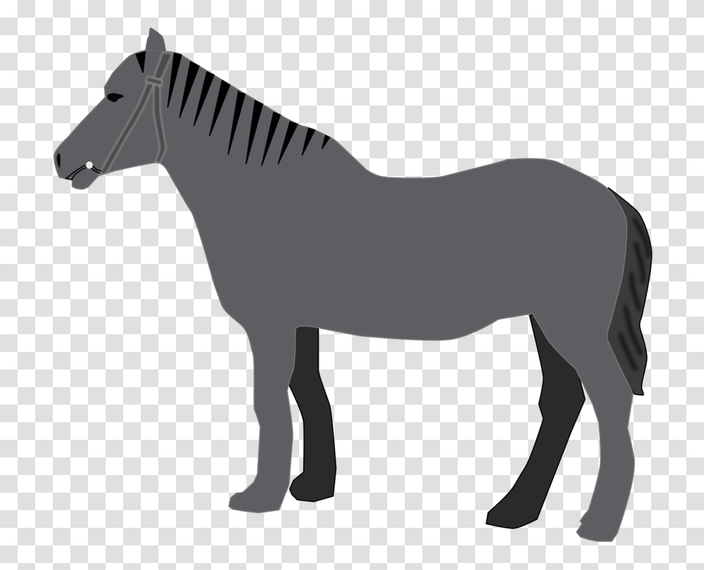 American Quarter Horse Gray American Saddlebred Download Computer, Mammal, Animal, Donkey, Colt Horse Transparent Png