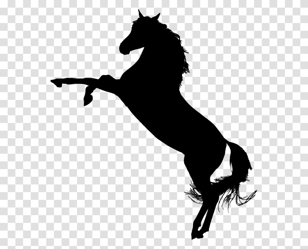American Quarter Horse Mustang Arabian Horse Stallion Colt Free, Gray, World Of Warcraft Transparent Png
