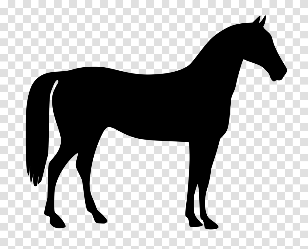 American Quarter Horse Silhouette Drawing, Gray, World Of Warcraft Transparent Png
