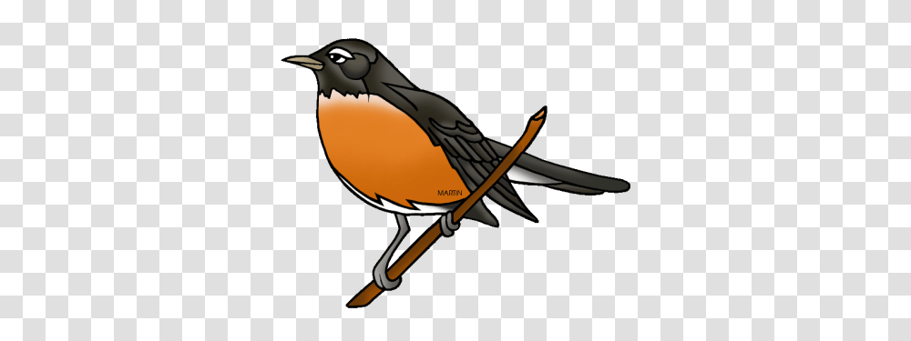 American Robin Image For Free Download Dlpng, Bird, Animal, Blow Dryer, Appliance Transparent Png
