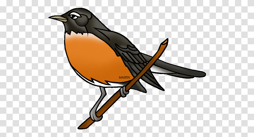 American Robin Photo American Robin Clip Art, Blow Dryer, Appliance, Hair Drier, Animal Transparent Png