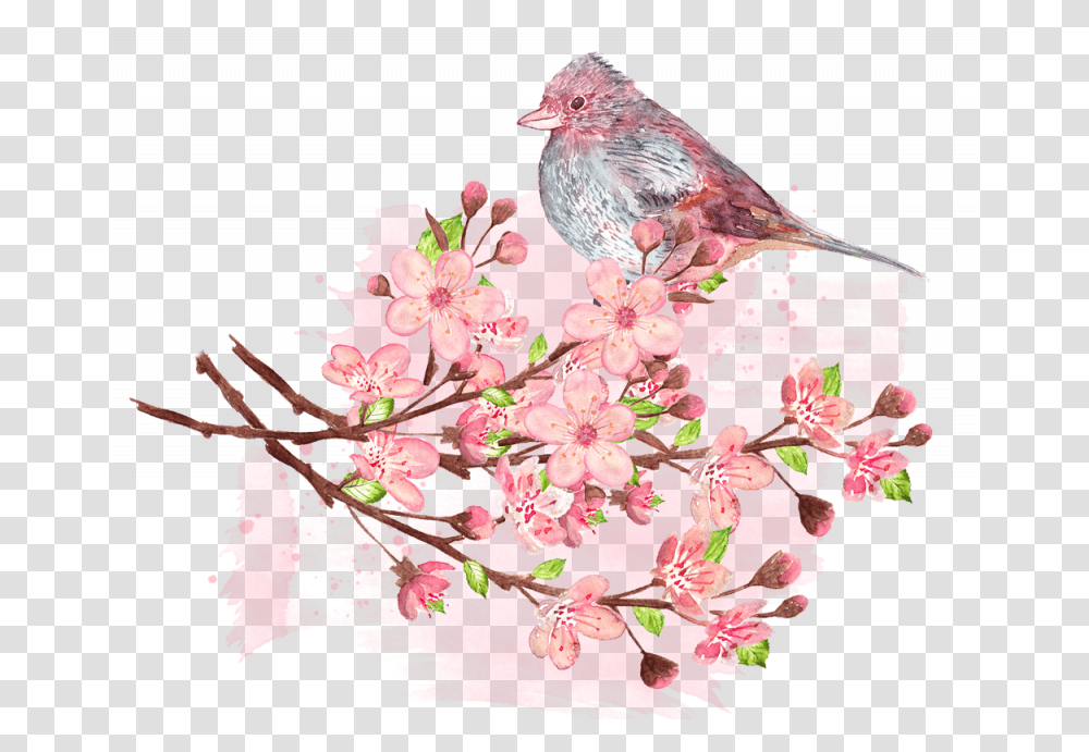 American Rosefinches, Bird, Animal, Plant, Flower Transparent Png