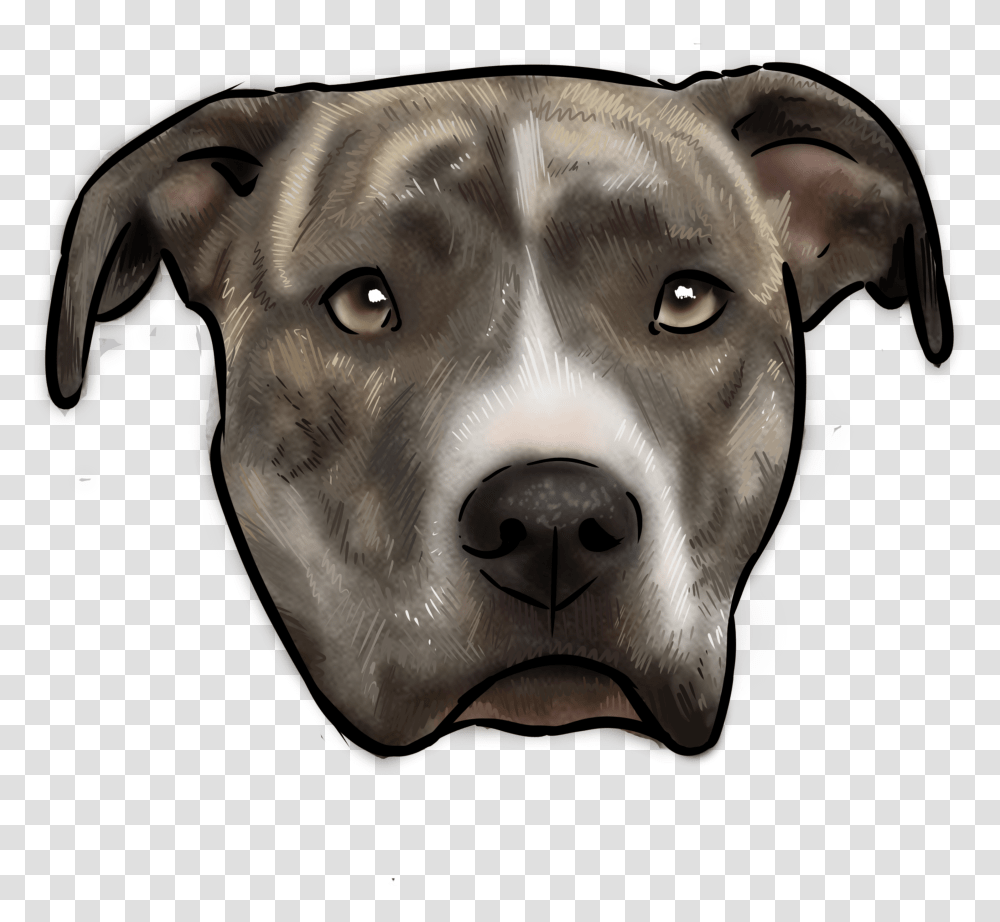 American Staffordshire Terrier, Snout, Pet, Animal, Canine Transparent Png