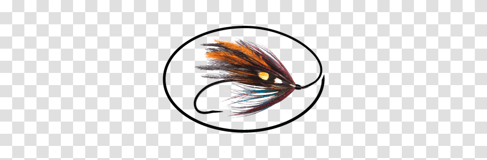 Americas Favorite Flies Support Local Fishing, Fishing Lure, Bait, Insect, Invertebrate Transparent Png
