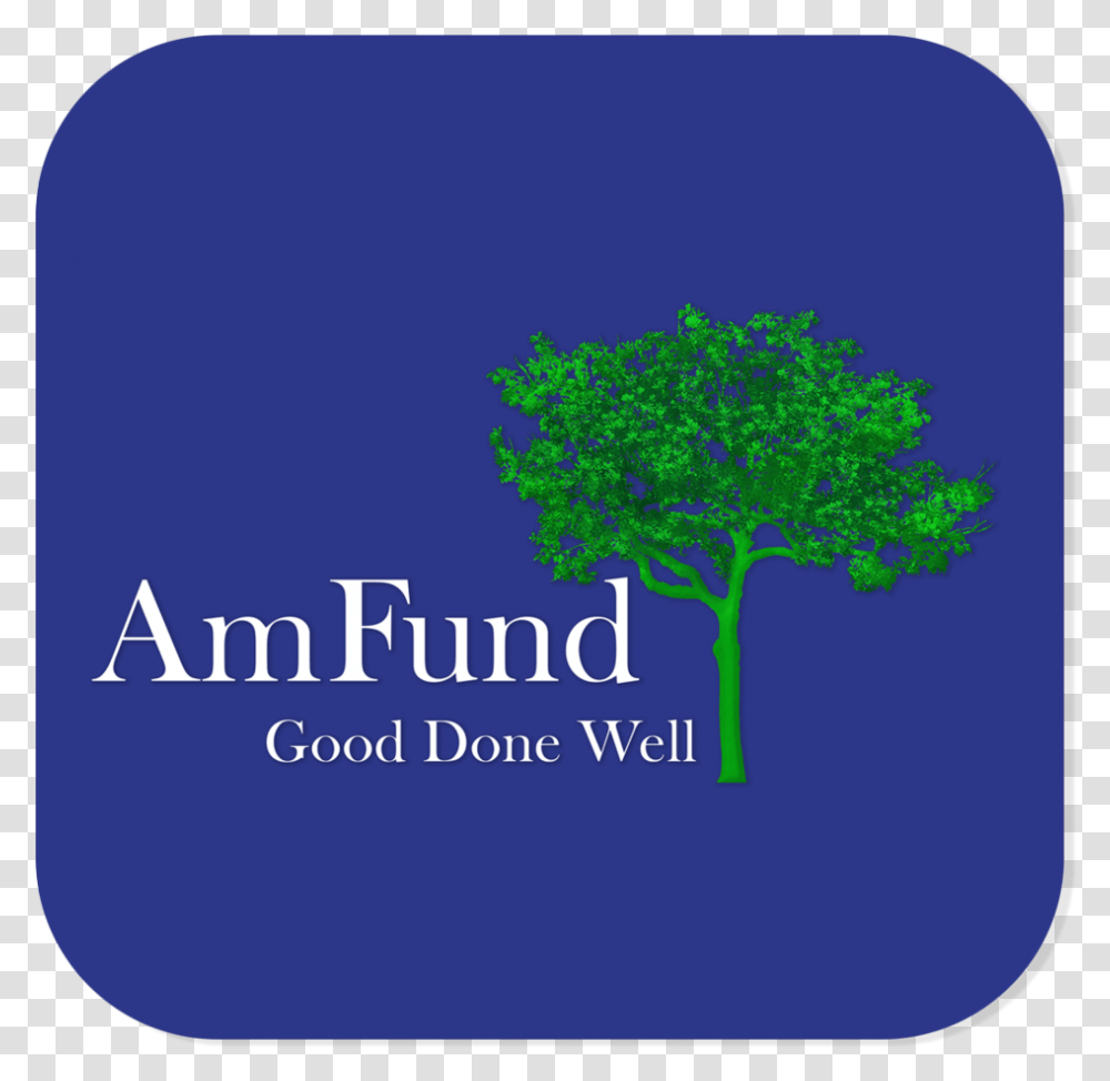 Amfund Logo Build Blue Background 2017, Vegetation, Plant, Word Transparent Png