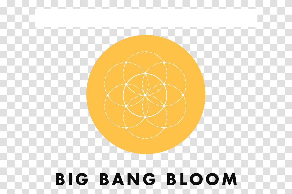 Amhydro Big Bang Bloom Plant Nutrients Circle, Pattern, Logo Transparent Png