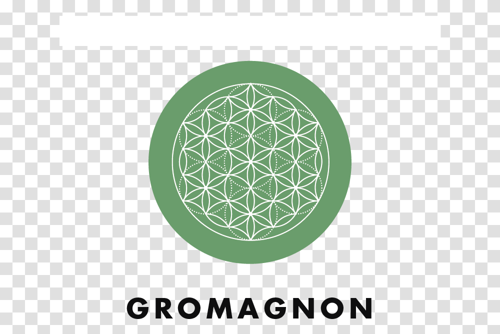 Amhydro Gromagnon Plant Growth Nutrients Circle, Pattern, Sphere Transparent Png