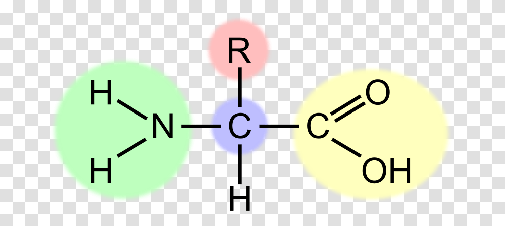 Amino Acid General HL, Technology, Number Transparent Png