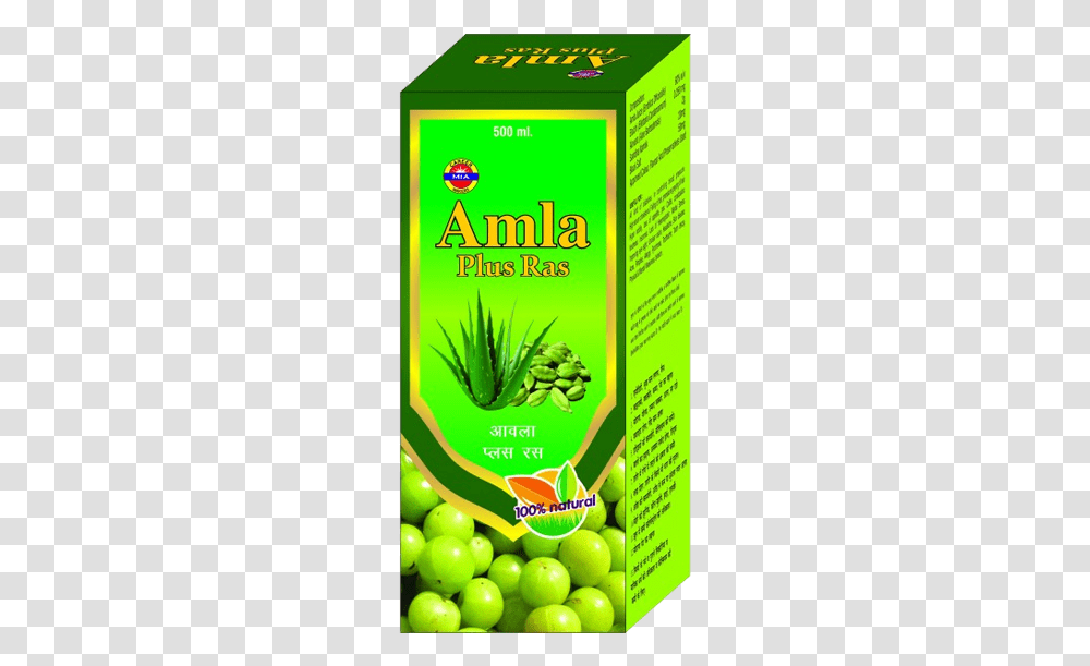 Amla Fruit, Plant, Flyer, Paper, Advertisement Transparent Png