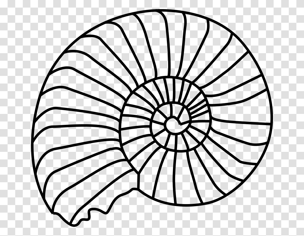 Ammonoid, Animals, Gray, World Of Warcraft Transparent Png