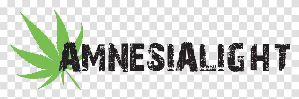 Amnesia Light Graphic Design, Alphabet, Outdoors Transparent Png