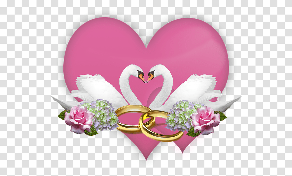 Amor Boda Anillos Deco Cisnes Rosas Hortensias Wil Je Met Me Trouwen, Jewelry, Accessories, Accessory, Bird Transparent Png