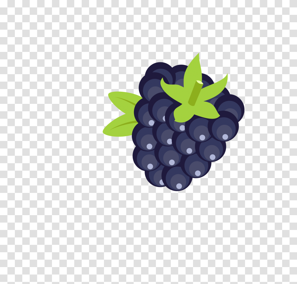 Amora Blackberry Icons, Grapes, Fruit, Plant, Food Transparent Png