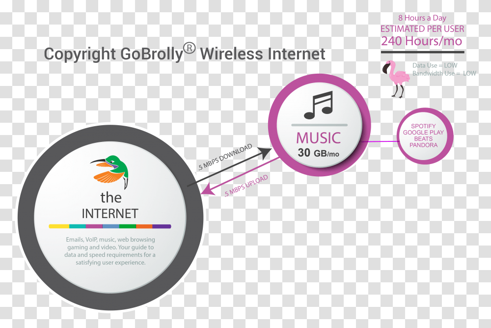 Amount Of Data And Bandwidth Required For Streaming Circle, Label, Bird, Animal Transparent Png