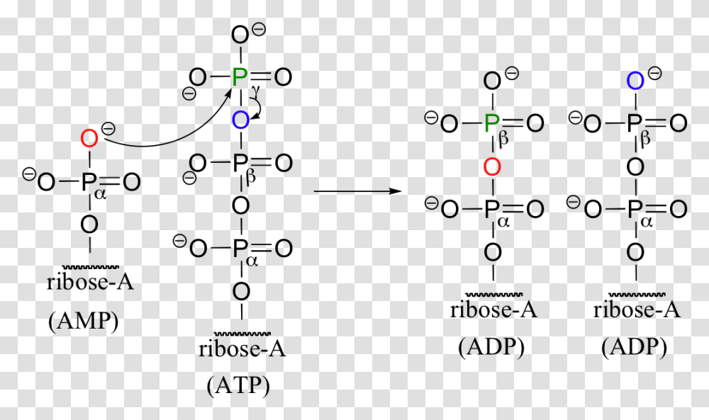 Amp To Atp Reaction, Pac Man Transparent Png