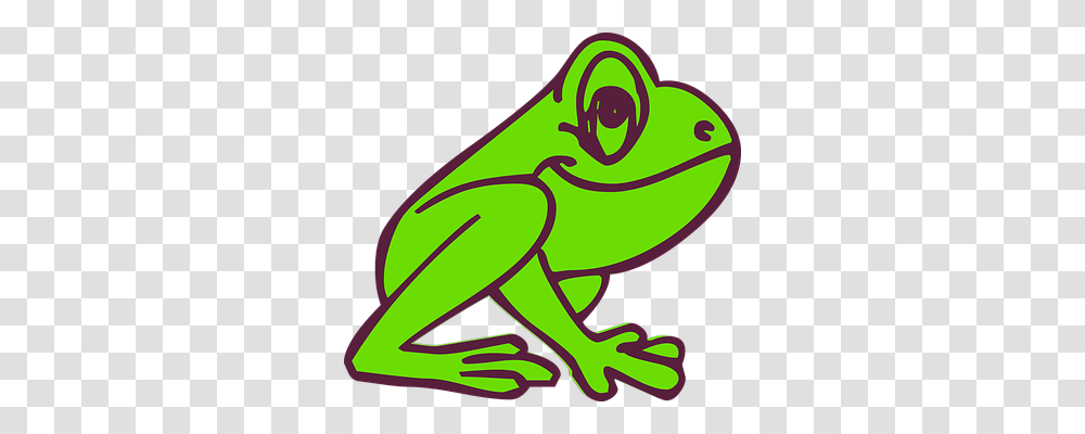 Amphibian Animals, Frog, Wildlife, Tree Frog Transparent Png