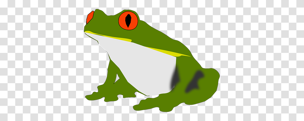 Amphibian Nature, Frog, Wildlife, Animal Transparent Png