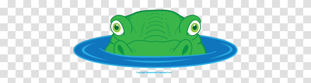 Amphibian Clipart Alligator Head, Animal, Sea Life, Fish, Reptile Transparent Png