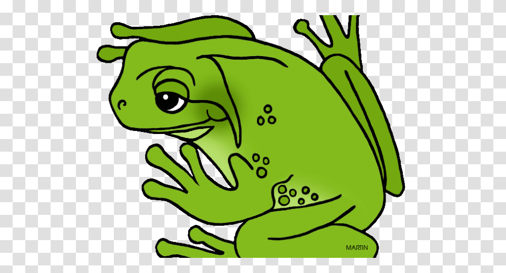 Amphibian Clipart Frog, Wildlife, Animal, Green, Plant Transparent Png