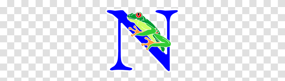 Amphibian Clipart, Frog, Wildlife, Animal, Tree Frog Transparent Png