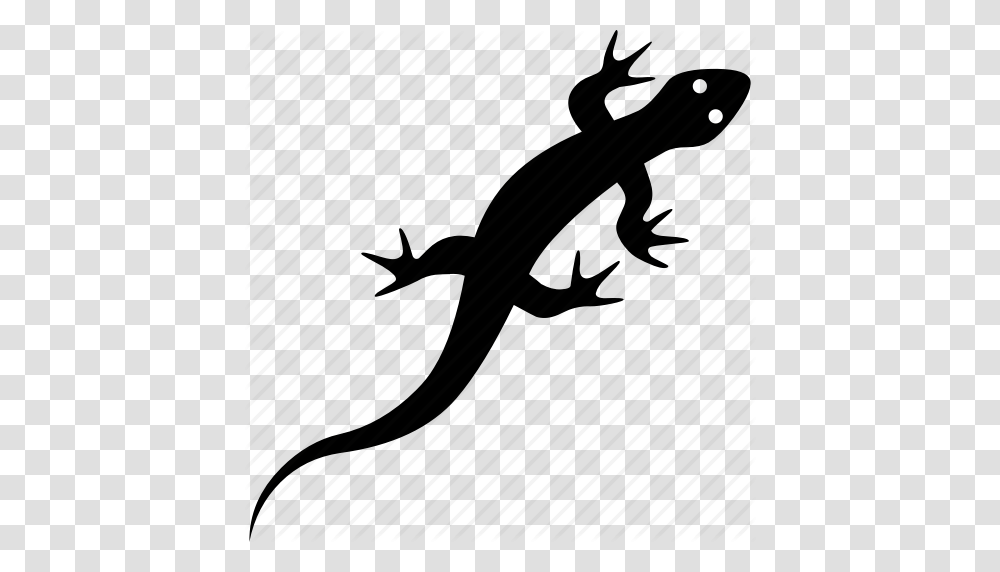 Amphibian Gecko Lizard Reptile Reptilia Squamata Icon, Invertebrate, Animal, Insect, Piano Transparent Png