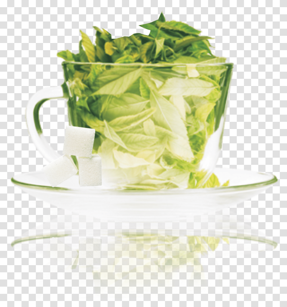 Amratam Stevia Green Tea Professional Youth Forever, Plant, Wedding Cake, Food, Vegetable Transparent Png