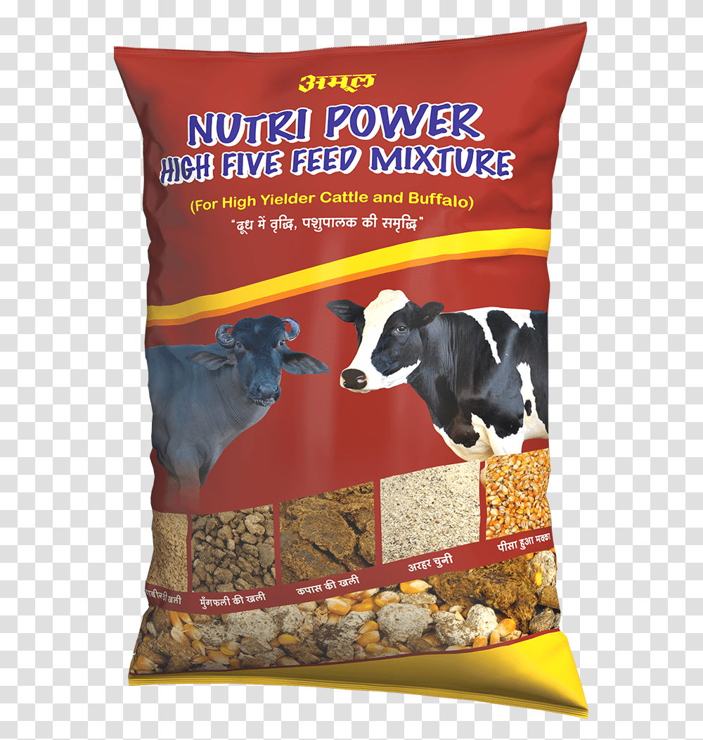 Amul Cattle Feed Amul Feed, Cow, Mammal, Animal, Dairy Cow Transparent Png