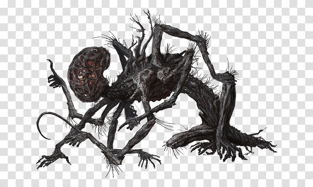 Amygdala Bloodborne, Dragon, Spider, Invertebrate, Animal Transparent Png